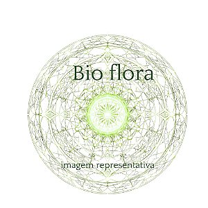 Workshop - Bioflora  - Lançamento