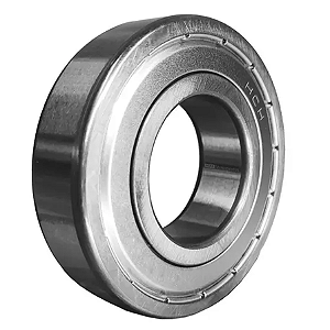 ROLAMENTO 6009