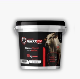 Agrophós Maxx Top + Alho