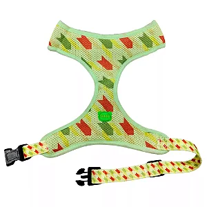 PEITORAL + GUIA + COLEIRA CHALESCO P BRAND