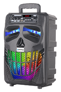 Caixa de Som Portátil Hoopson 100W Preto Bluetooth, USB, Auxiliar, Micro SD e FM - RBM-017