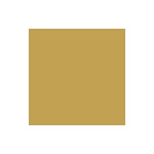 Tiffen Filtro 6.6 x 6.6 81EF