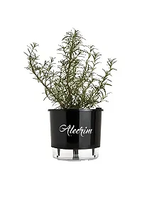Vaso Autoirrigável Alecrim Alt: 14cm X Larg: 16cm Preto.