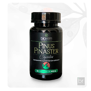 PINUS PINASTER | PICNOGENOL + Vitaminas E + Vitamina C | 60 cápsulas 500mg