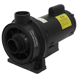 Bomba para Hidromassagem Jacuzzi 2TQ-M 2CV Monofásica 110/220V - Até 8 Bicos