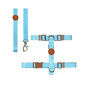 Conjunto Peitoral H e Guia P Azul Toh