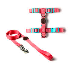 Conjunto Peitoral H e Guia Fiji P Toh