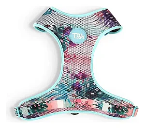 Conjunto Peitoral Mesh H e Guia Laguna M Toh
