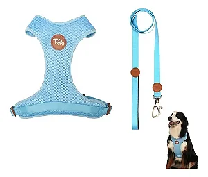 Conjunto Peitoral Mesh H e Guia Azul PP Toh