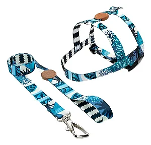 Conjunto Peitoral Tradicional e Guia Noronha GG Toh