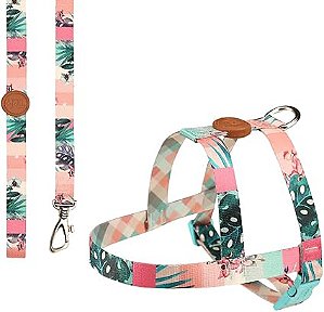 Conjunto Peitoral e Guia Tradicional Toh Outdoor Laguna M