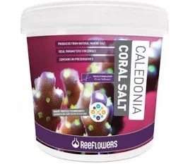 Caledônia Coral Salt - 22,5kg