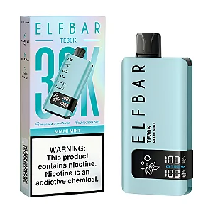 Elfbar TE30K Winter Mint