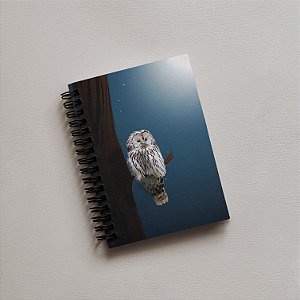 Caderno A5 | Coruja e falcões sob a luz da lua e céu estrelado| Espiral Metálica (Wire-ô) Preto, Branco ou Prata