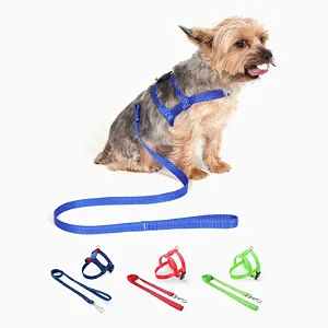 PEITORAL COM GUIA PARA CÃES ANIMAL ZEN