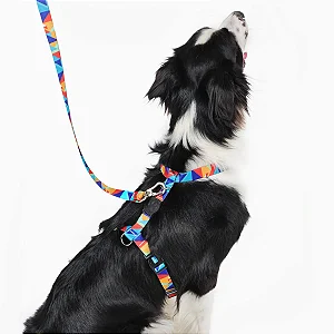 PEITORAL H COM GUIA  PARA CÃES  ANIMAL ZEN
