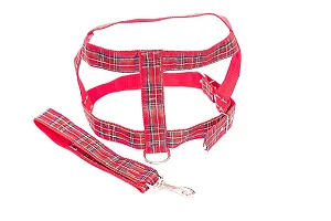 CONJUNTO PEITORAL E GUIA XADREZ