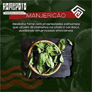 Manjericão 18g