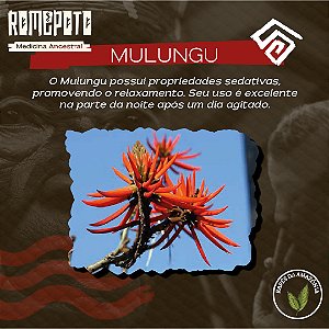 Mulungu 18g