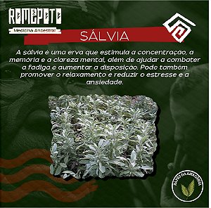 Sálvia 18g