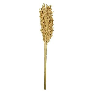 Folhagem Preservada Sorgo Alvejado 55cm