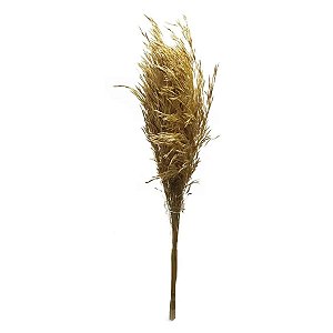 Folhagem Preservada Chorão Natural 60cm