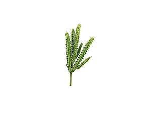 Suculenta Cactos X8 Verde Tons Diversos 16cm 1490