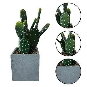 Vaso com 3 Cactos Orelha de Coelho 10x27,5 cm