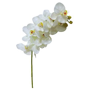 HASTE DE ORQUIDEA PHALAENOPSIS AMABILIS BRANCA X9 72CM