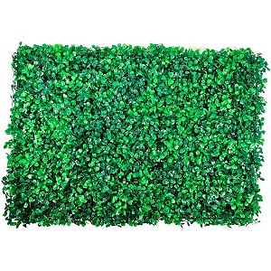 Placa de Grama Buchinho 60x40cm