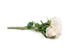 Buque Rosas X5 Champanhe 37cm