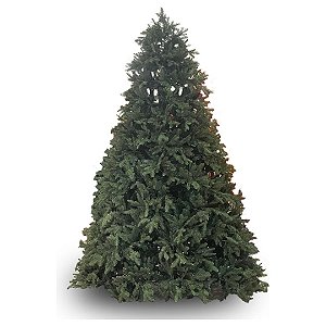 ARVORE NATALINA C/ LED EMBUTIDO RGB 730LEDs 2116GA PE FERRO 2,4M