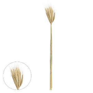 TRIGO C/20 HASTE DESIDRATADO ALVEJADO 65CM