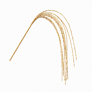 COMPLEMENTO GRASS NATAL DOURADO 1,13M