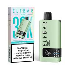Elfbar TE30K - Spearmint - 30.000 Puffs