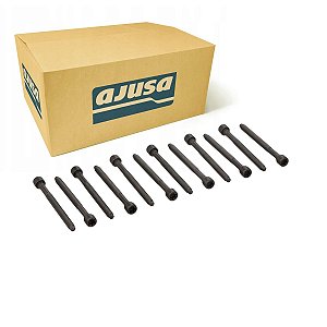 Parafuso de Cabeçote Volkswagen Audi Jetta Tiguan Passat Golf A3 A4 A5 Q3 Q5 TT Tsi Tfsi 2.0 16v - 06D103385D