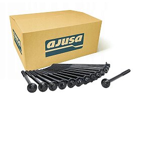Parafuso de Cabeçote Bmw X5 X7 3.0 24V Diesel 30D 50D - 11128570942