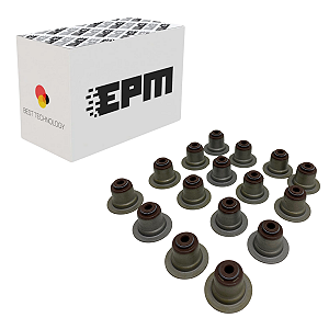 Jogo Retentor De Valvulas Cabeçote Jeep Fiat 1.8 E-Torque 10,8X18X5,5 55263053