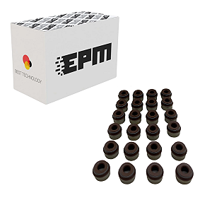 Retentor Valvulas Audi Vw Tsi Tfsi Land Rover Journey 3.6 (24 Und) - 079109675, 036109675A, Lr002556,12021100