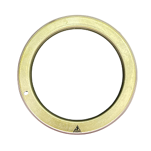 Roda Dentada Fonica Virabrequim Land Rover 3.0 TDV - LR035564