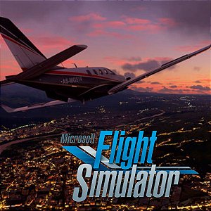 Microsoft Flight Simulator