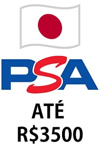 Carta já no Japão - Envio Básico Médio 63 DIAS