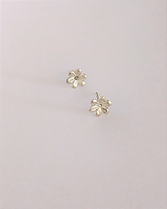 Flor de Margarida