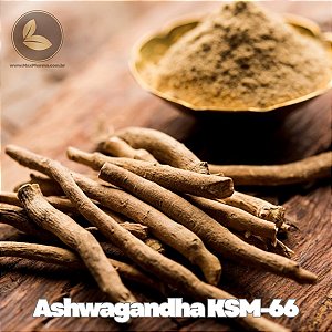 Ashwagandha KSM-66® Extrato Patenteado Original - Ixoreal Biomed