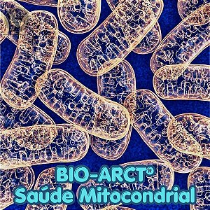 Bio-Arct Energia Celular, Antioxidante e Performance Mitocondrial