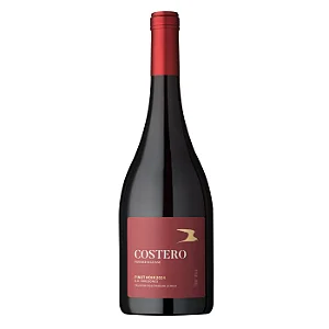 VINHO FAMÍLIA GEISSE - COSTERO PINOT NOIR 750ML