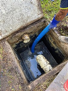 Limpeza de caixa de gordura residencial