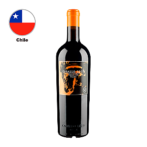 Valdivieso Caballo Loco Grand Cru - Limarí