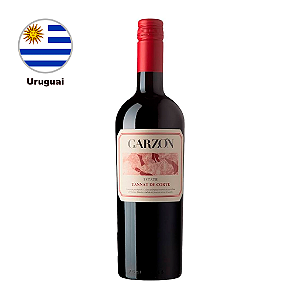 Garzón Estate - Tannat de Corte