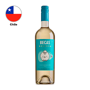 Becas Reserva - Sauvignon Blanc